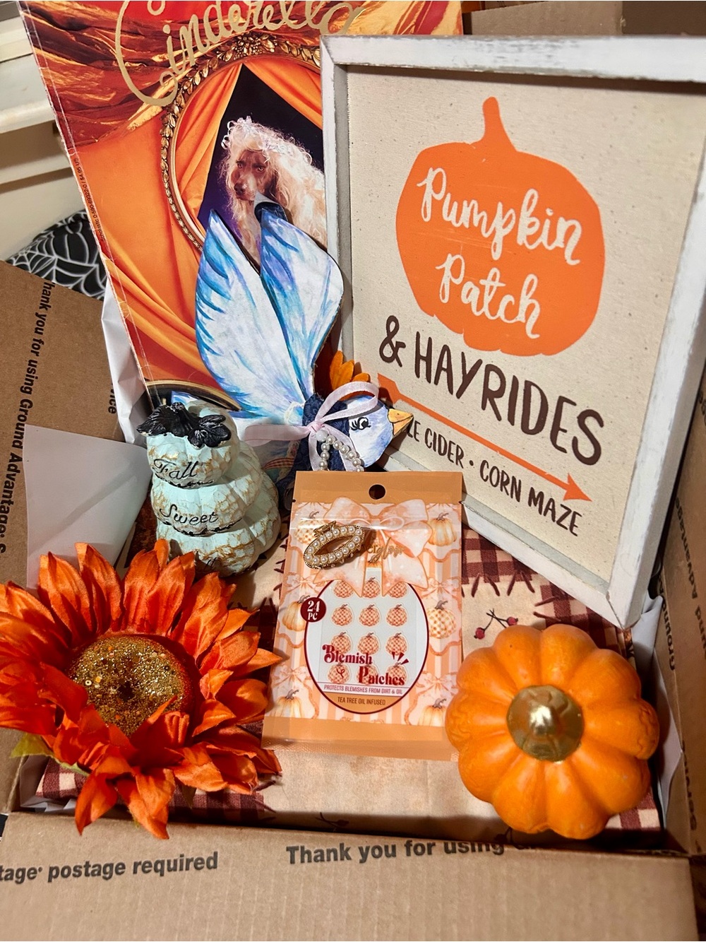 Cinderella’s Fall Cottage Bundle - Picture 2 of 4